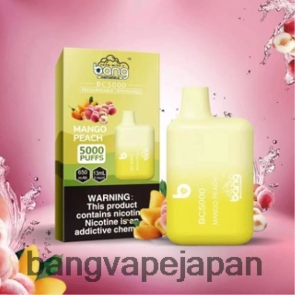 Bang Box Disposable Vape - Bang Vape Box BC5000 5% NIC 5000 パフ ペン Type-C 充電式 6D4N069 使い捨て