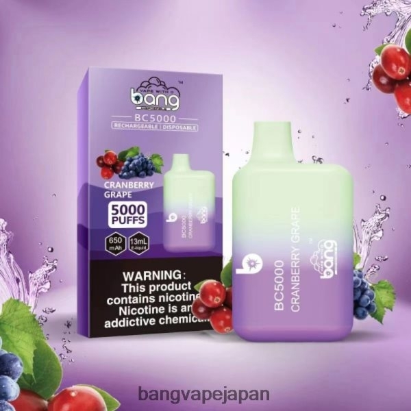 Bang Box Disposable Vape - Bang Vape Box BC5000 5% NIC 5000 パフ ペン Type-C 充電式 6D4N069 使い捨て
