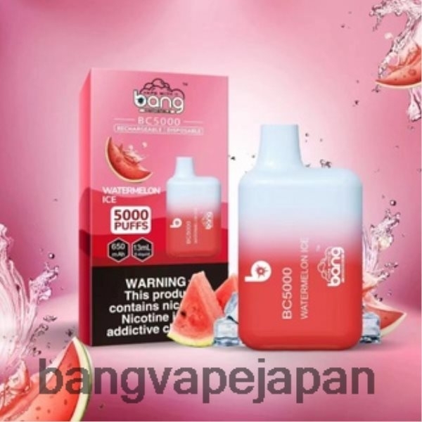 Bang Box Disposable Vape - Bang Vape Box BC5000 5% NIC 5000 パフ ペン Type-C 充電式 6D4N069 使い捨て