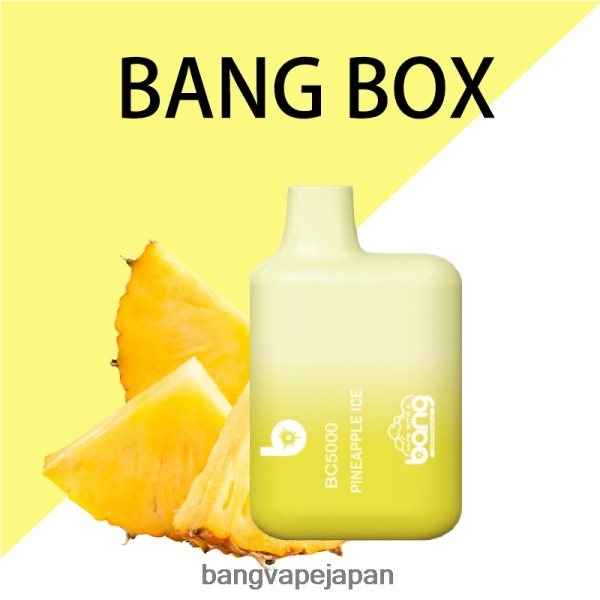 Bang Box Disposable Vape - Bang Vape Box BC5000 5% NIC 5000 パフ ペン Type-C 充電式 6D4N069 使い捨て