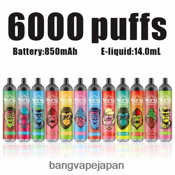Bang Disposable Vape Flavors - Bang Vape King 6000 パフ 5% NIC 充電式タイプ C 6D4N068 使い捨て