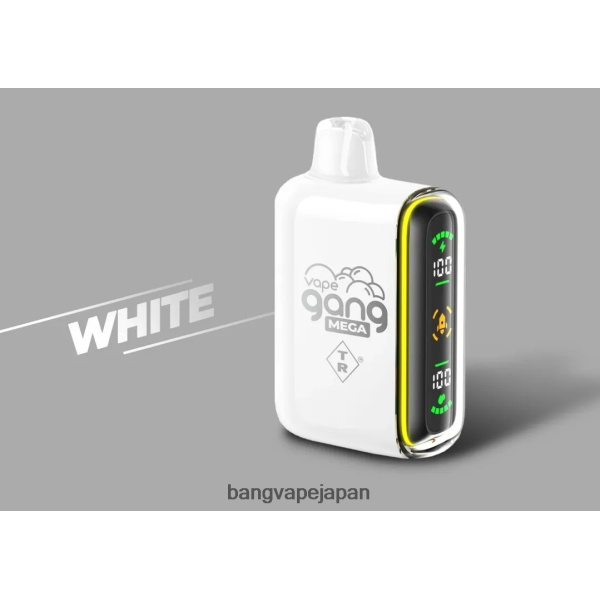 Bang Disposable Vape Flavors - Vape Gang MEGA 20,000 パフの使い捨てベイプ (5 個入りボックス) 6D4N0660 白