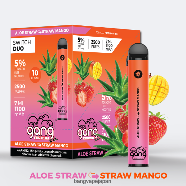 Bang Disposable Vape Flavors - Vape Gang Switch Duo 2種類（10箱入り） 6D4N0638 アロエ・ストロベリー・ストロベリー・マンゴー