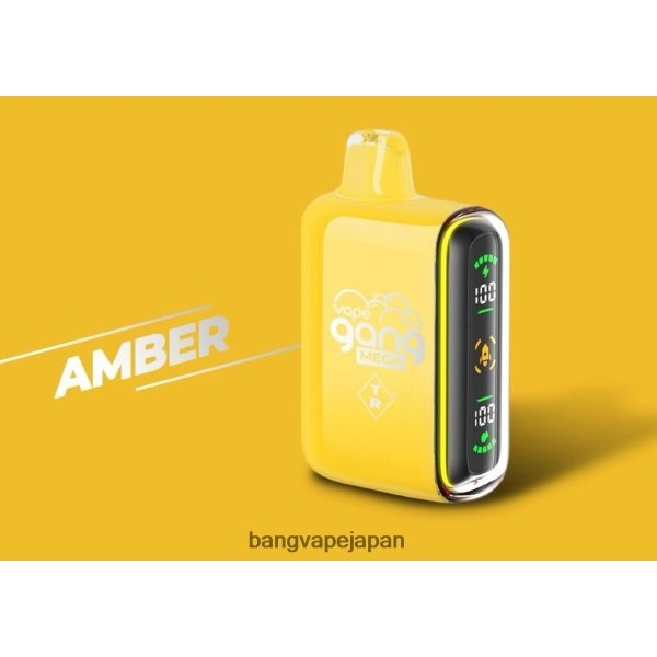 Bang Vape Disposable - Vape Gang MEGA 20,000 パフの使い捨てベイプ (5 個入りボックス) 6D4N0650 アンバー