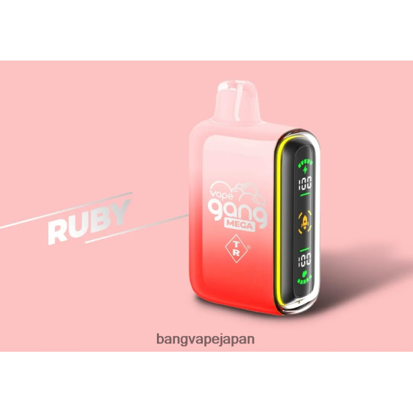 Bang Vape Flavors - Vape Gang MEGA 20,000 パフの使い捨てベイプ (5 個入りボックス) 6D4N0658 ルビー