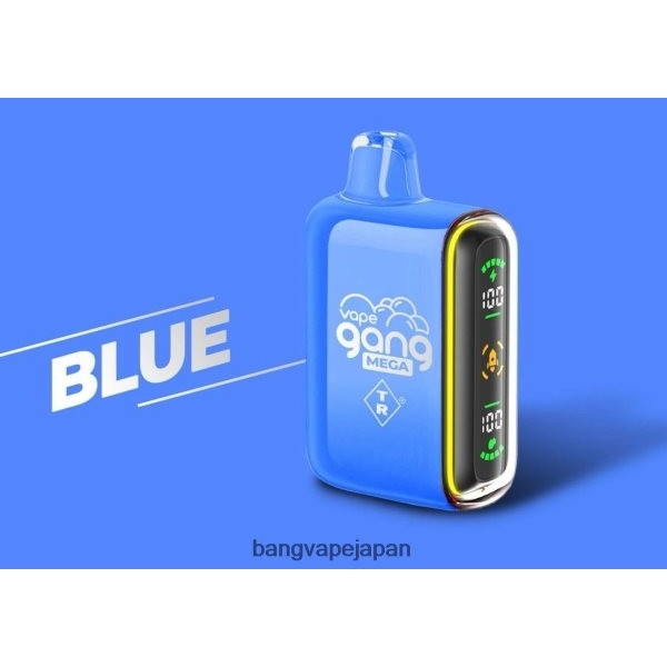 Bang Vape Japan - Vape Gang MEGA 20,000 パフの使い捨てベイプ (5 個入りボックス) 6D4N0652 青