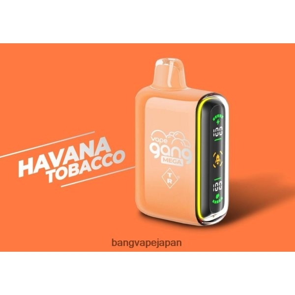 Vape Gang Japan - Vape Gang MEGA 20,000 パフの使い捨てベイプ (5 個入りボックス) 6D4N0655 ハバナタバコ