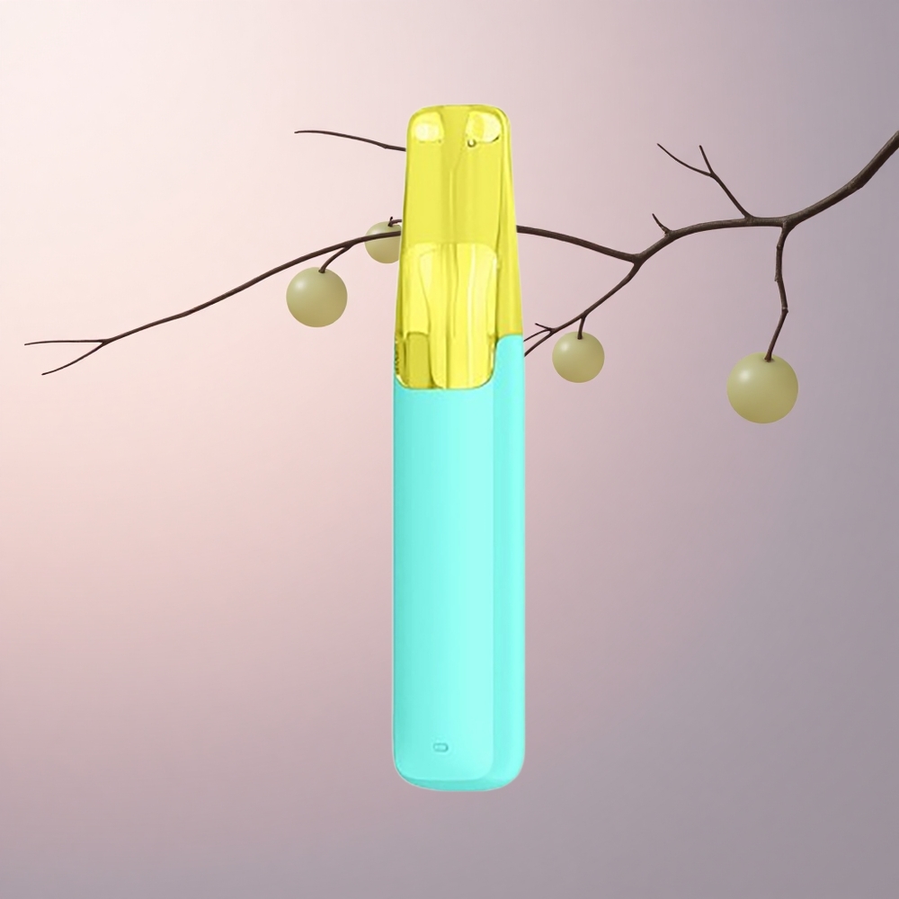 Snowplus Dash 4000 Puffs グリーングレープ セラミック 530mAh