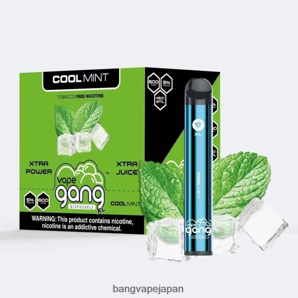 Bang Box Vape Flavors - Vape Gang XL 使い捨てベイプ 600 パフ (10 個入り箱) 6D4N0679 クールミント