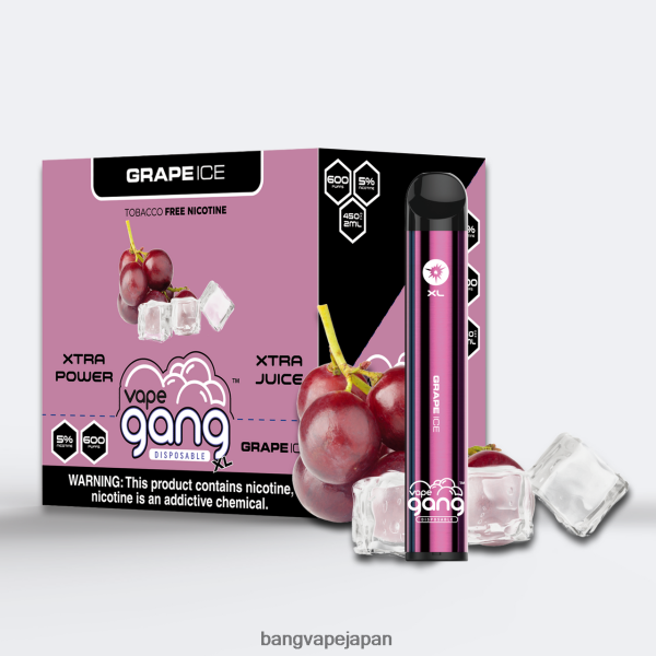 Bang Vape Disposable - Vape Gang XL 使い捨てベイプ 600 パフ (10 個入り箱) 6D4N0662 ぶどう氷