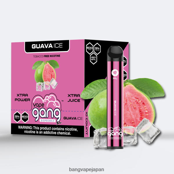 Bang Vape Disposable - Vape Gang XL 使い捨てベイプ 600 パフ (10 個入り箱) 6D4N0672 グアバアイス
