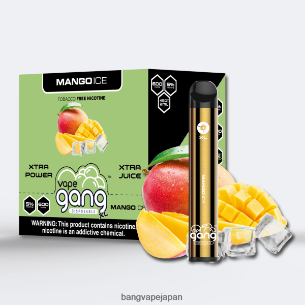 Bang Vape Flavors - Vape Gang XL 使い捨てベイプ 600 パフ (10 個入り箱) 6D4N0668 マンゴーアイス