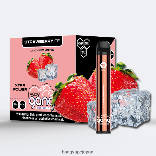 Bang Vape Flavors - Vape Gang XL 使い捨てベイプ 600 パフ (10 個入り箱) 6D4N0678 ストロベリーアイス