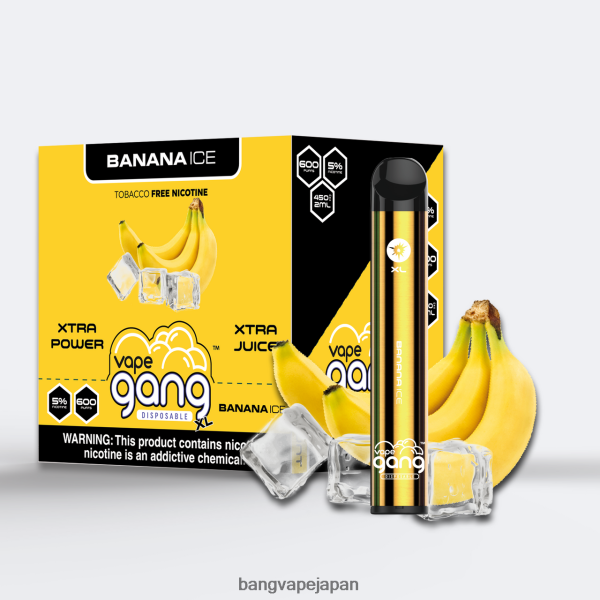 Bang Vape Japan - Vape Gang XL 使い捨てベイプ 600 パフ (10 個入り箱) 6D4N0663 バナナアイス
