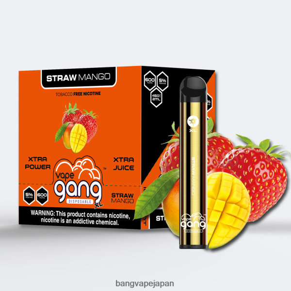 Bang Vape Price - Vape Gang XL 使い捨てベイプ 600 パフ (10 個入り箱) 6D4N0666 ストローマンゴー