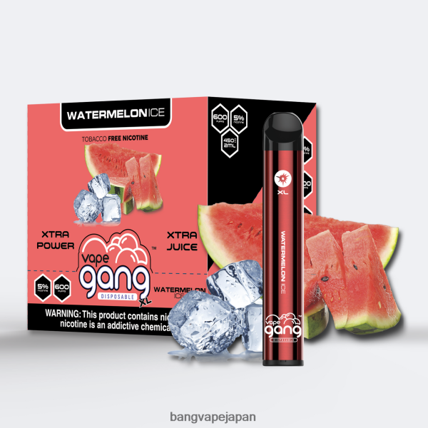 Bang Vape Price - Vape Gang XL 使い捨てベイプ 600 パフ (10 個入り箱) 6D4N0676 スイカ氷