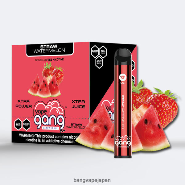 Bang Vape Tokyo - Vape Gang XL 使い捨てベイプ 600 パフ (10 個入り箱) 6D4N0674 わらスイカ