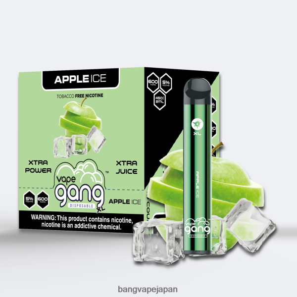 Vape Gang Disposables - Vape Gang XL 使い捨てベイプ 600 パフ (10 個入り箱) 6D4N0667 アップルアイス