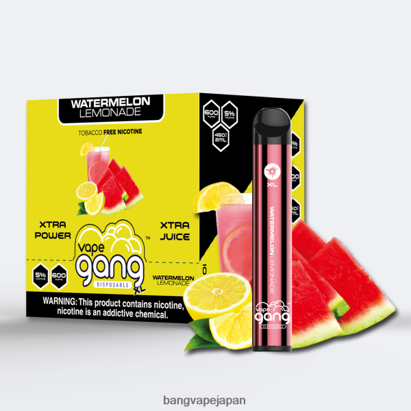 Vape Gang Japan - Vape Gang XL 使い捨てベイプ 600 パフ (10 個入り箱) 6D4N0665 スイカレモネード